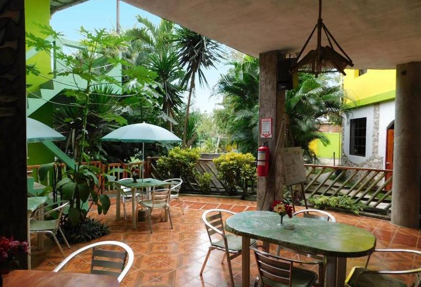 Hostel Hostal Maxima