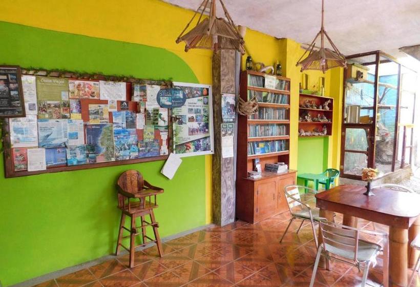 Hostel Hostal Maxima