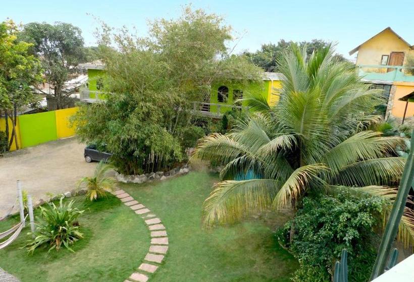 Hostel Hostal Maxima