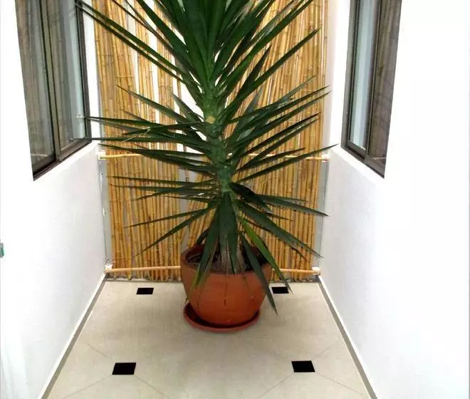 تختخواب و صبحانه Guest Home Valto & Ziron