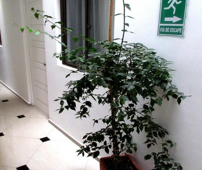 Bed & Breakfast Guest Home Valto & Ziron