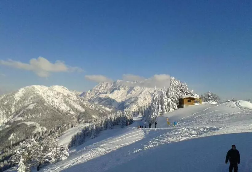 Aamiaismajoitus (B&B) Trixlhof