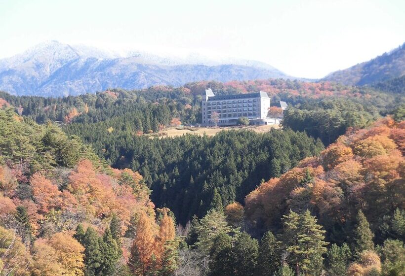 בית מלון כפרי Windsor