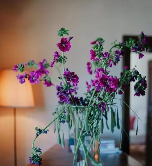 Hotelli Zum Riesen Historic Refugium