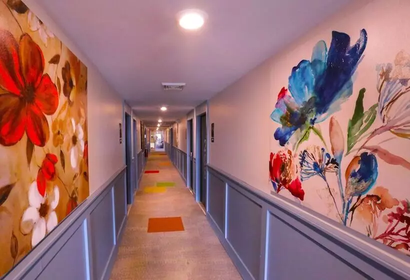 ホテル Chateau Suites