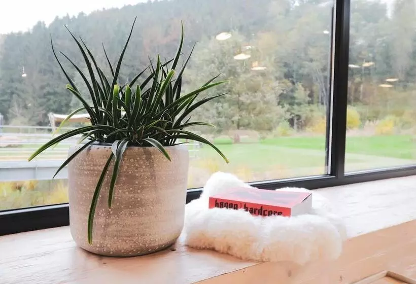 ホテル Daft Boutique