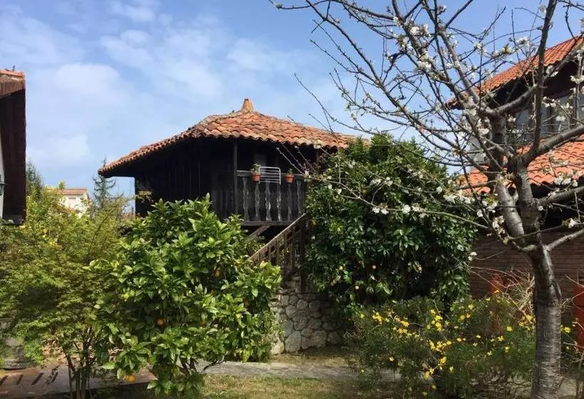 Hotel Moran Playa
