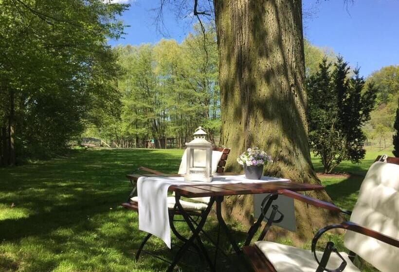 בית מלון כפרי Steffens Herrnmuehle