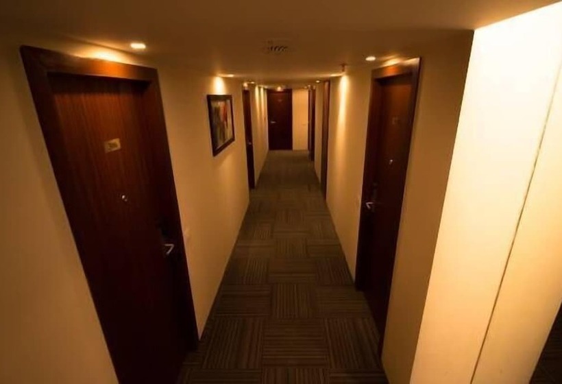 فندق The Maureen