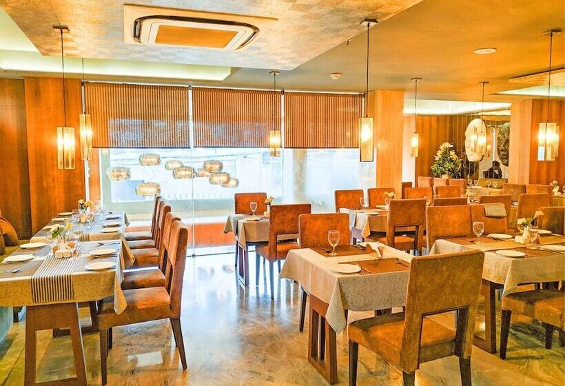 فندق The Maureen