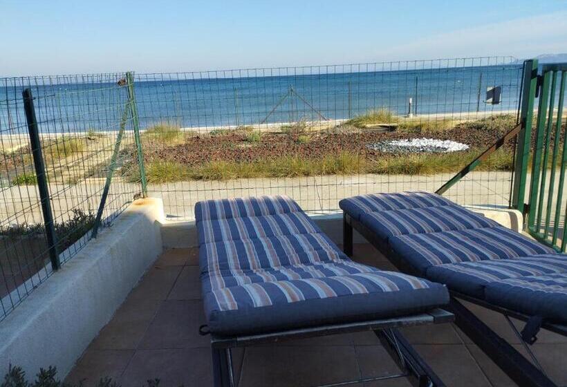 מוטל Le Surplage