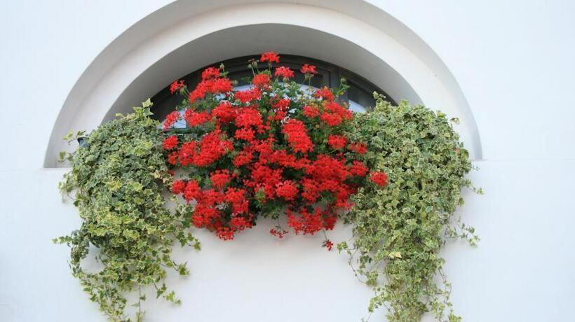 مبيت وإفطار Al Bagolaro