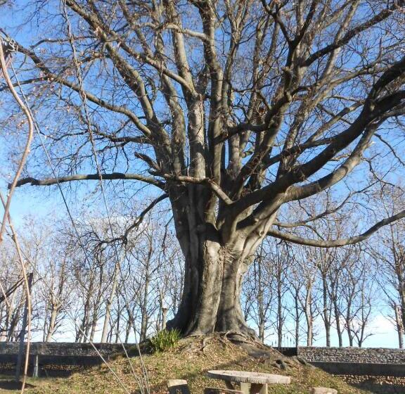 مبيت وإفطار Al Bagolaro