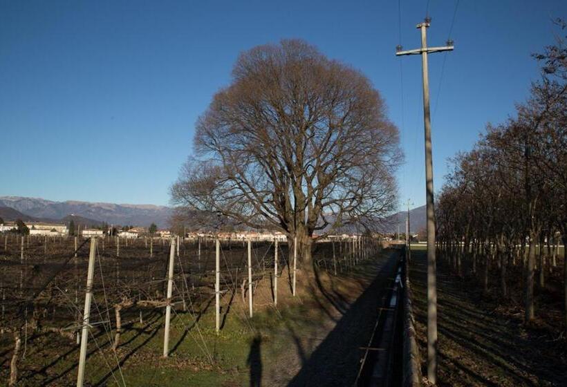 مبيت وإفطار Al Bagolaro