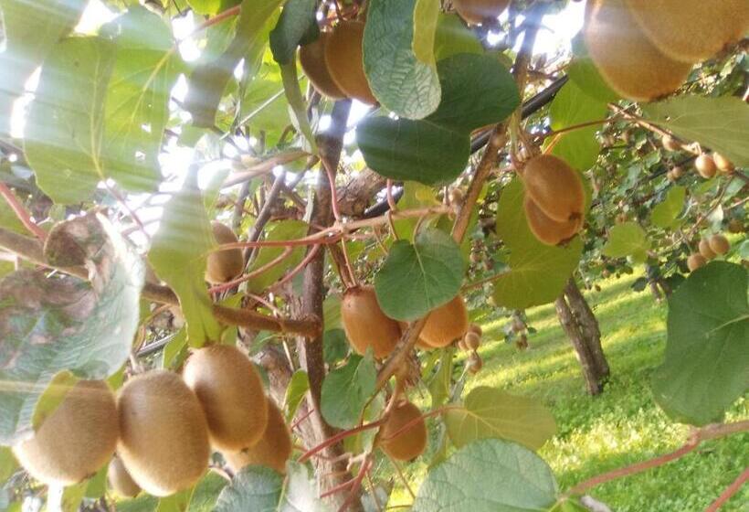 مبيت وإفطار Al Bagolaro