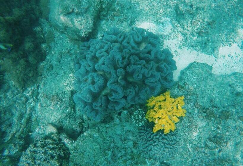 민박 Nilaveli Beach Rooms