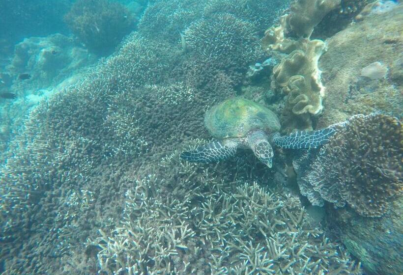 민박 Nilaveli Beach Rooms