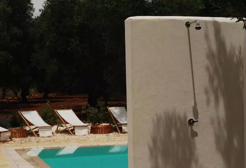 Fikus   The Apulian B&b