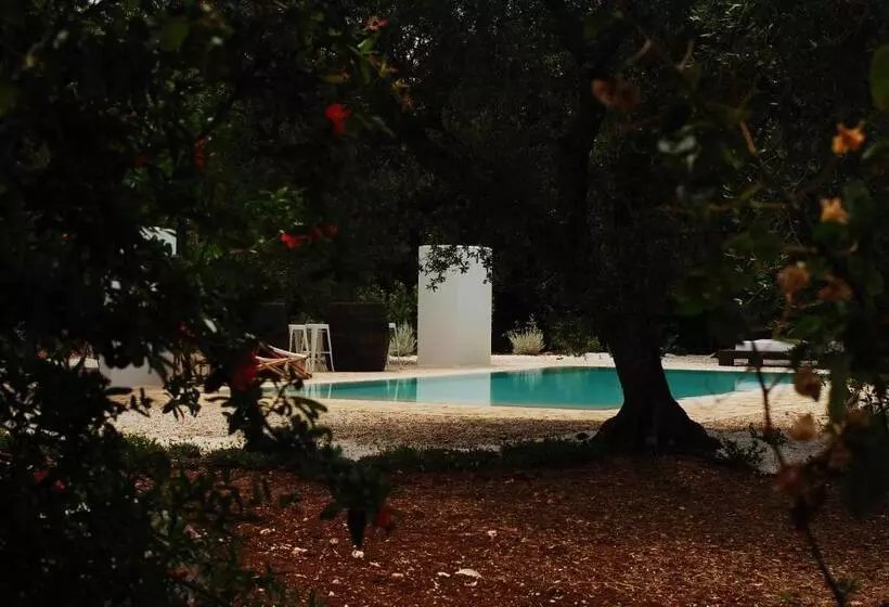 Fikus   The Apulian B&b