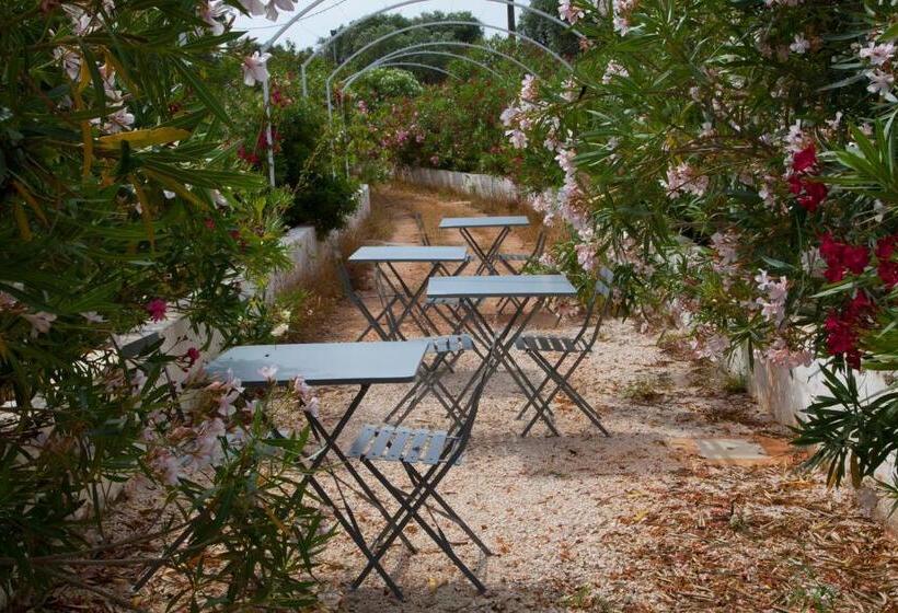 Fikus The Apulian B&b