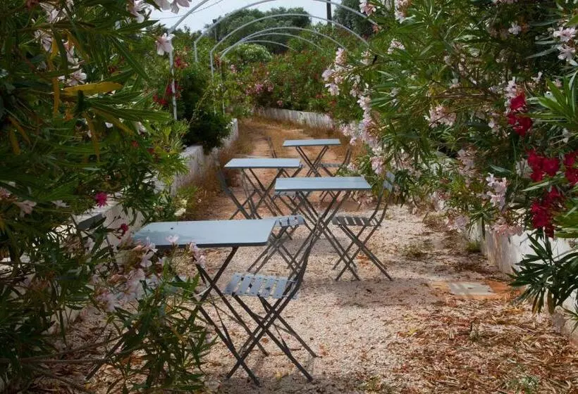 Fikus   The Apulian B&b