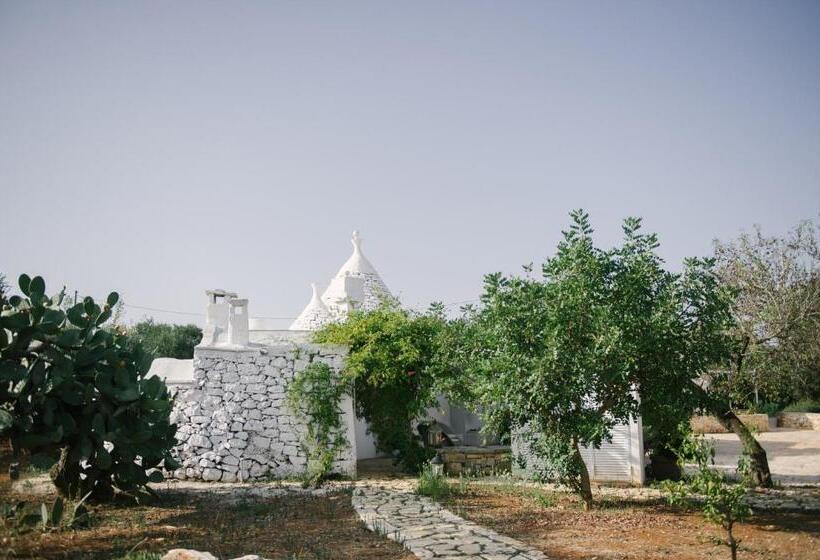 Fikus The Apulian B&b