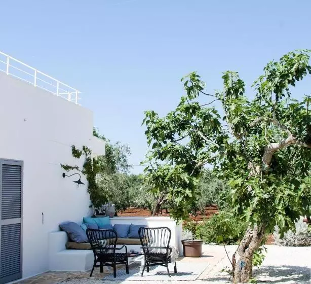 Fikus   The Apulian B&b