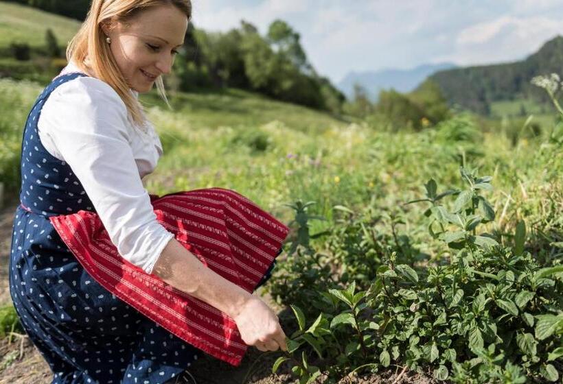 酒店 Pension Panorama