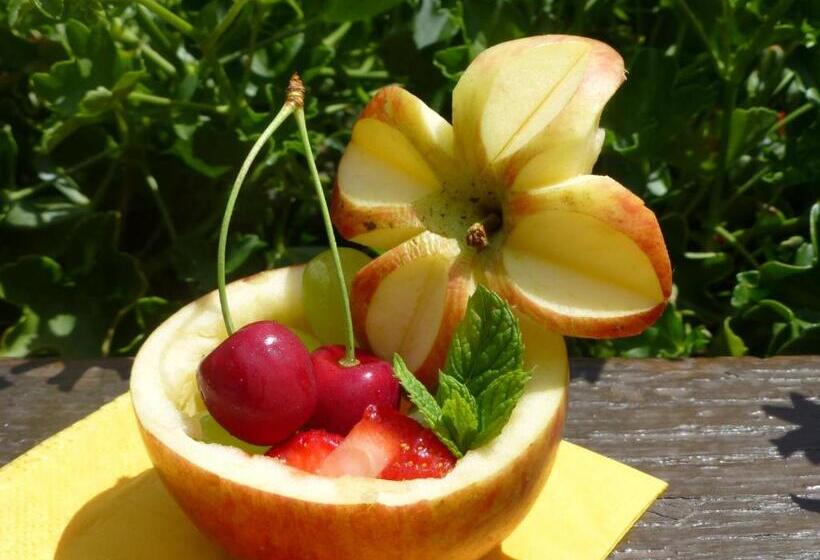 酒店 Pension Panorama