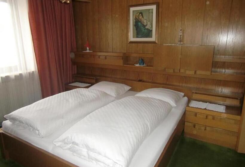 酒店 Pension Panorama