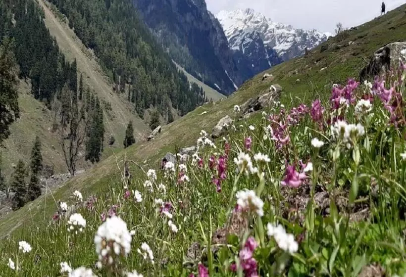 リゾートホテル Brown Palace