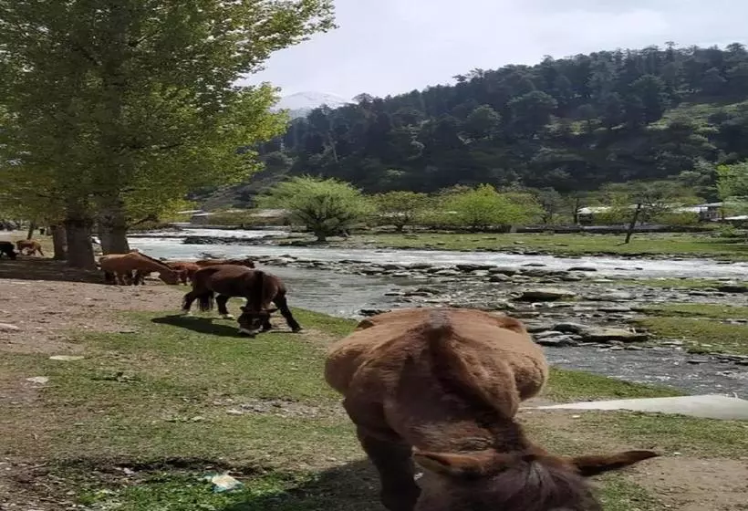 リゾートホテル Brown Palace