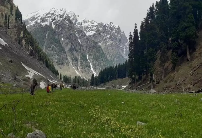 リゾートホテル Brown Palace
