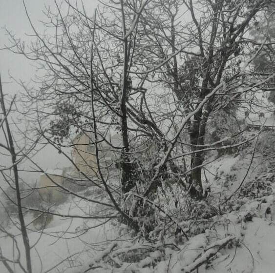 Resort Trinetra Orchards