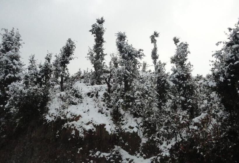 Resort Trinetra Orchards