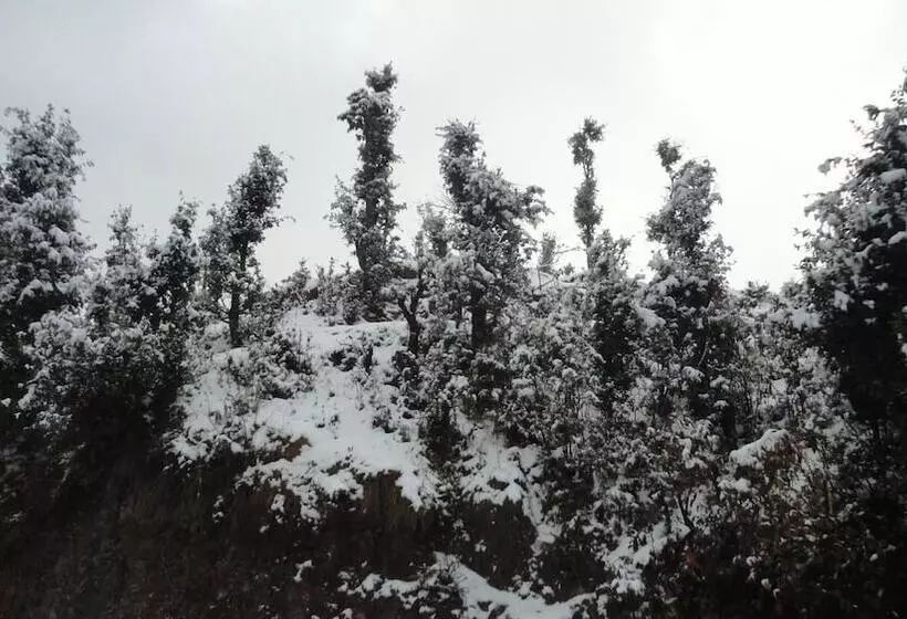 リゾートホテル Trinetra Orchards