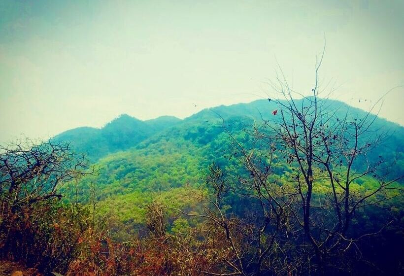 Resort Trinetra Orchards