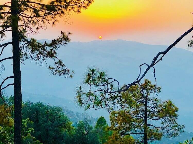 Resort Trinetra Orchards