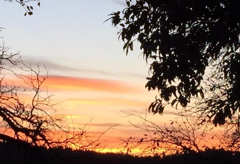 Resort Trinetra Orchards