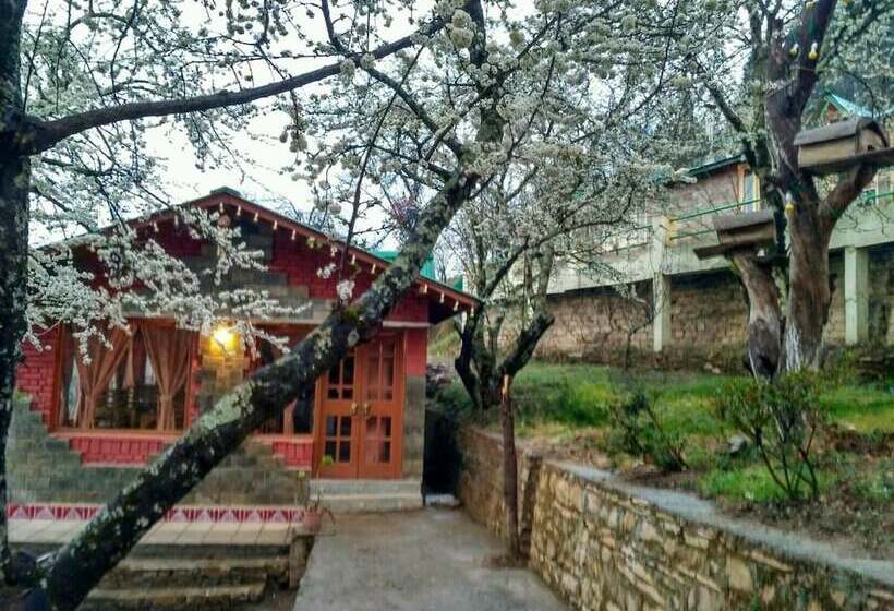 Resort Trinetra Orchards