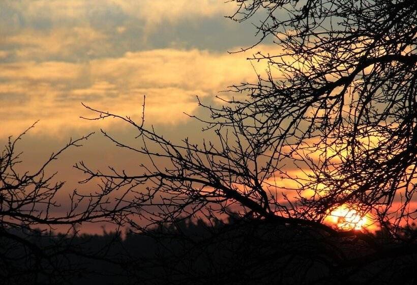 Resort Trinetra Orchards