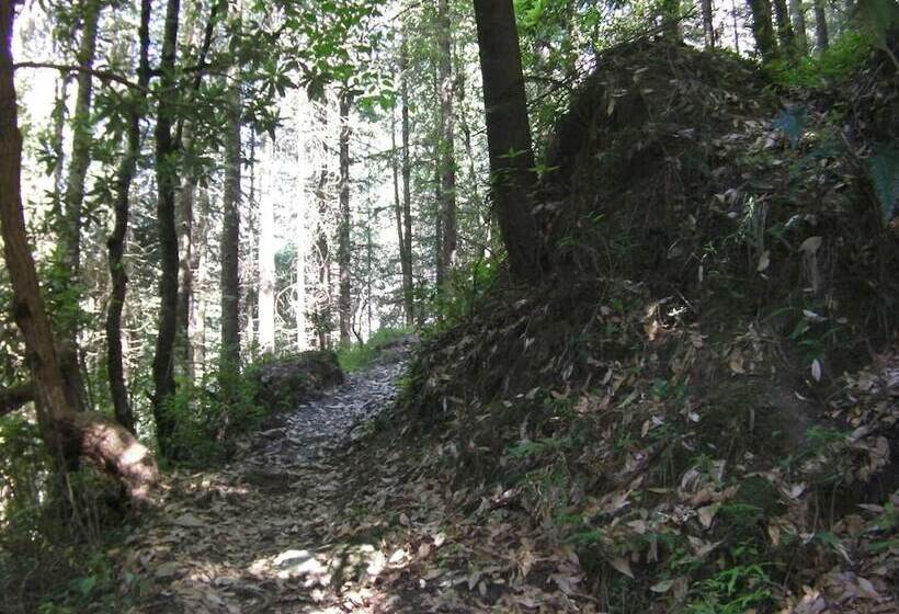 Resort Trinetra Orchards