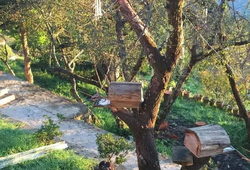 リゾートホテル Trinetra Orchards