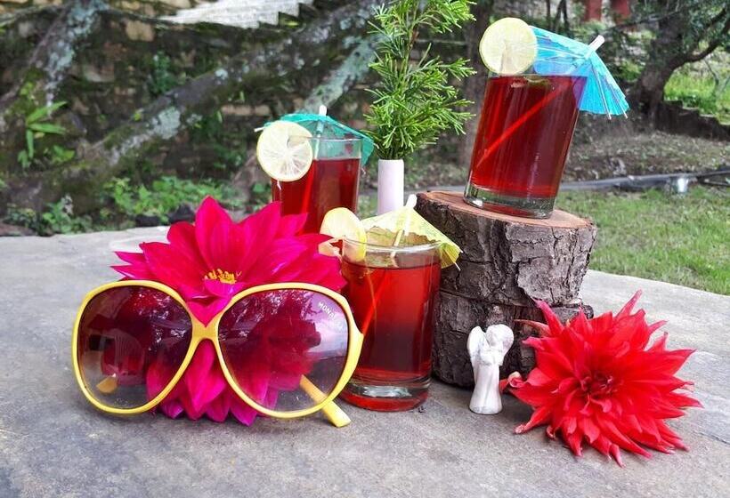 Resort Trinetra Orchards