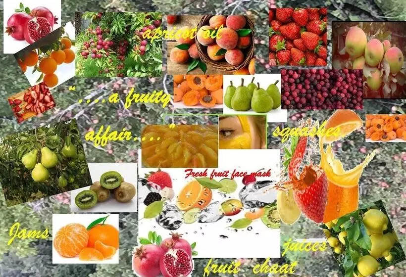リゾートホテル Trinetra Orchards