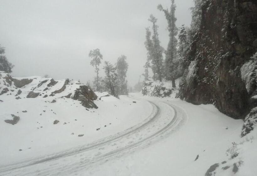 Resort Trinetra Orchards