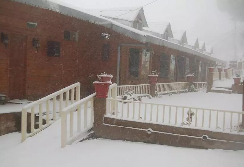 Royal Dutch Resorts And Doll Museum