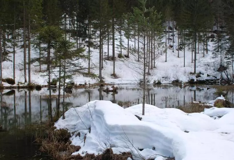 ベッドアンドブレックファースト Camere Nordest Sudest  Conca Agordina