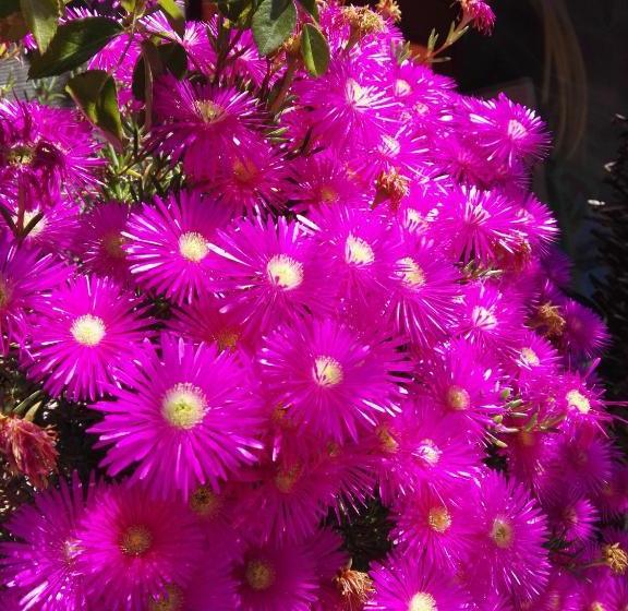 فندق Hegelberger