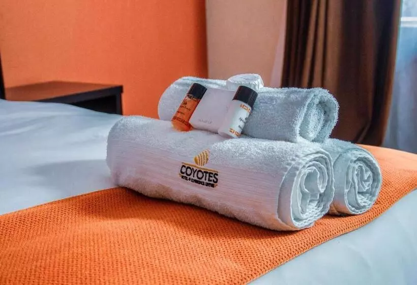 Nelspruit Hotel And Conference Centre